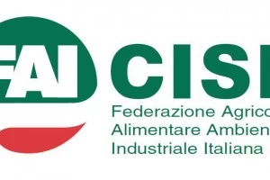 Crisi ARA d’Abruzzo
